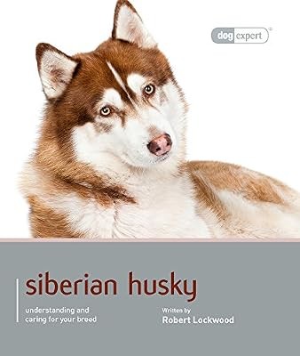 Siberian husky dog expert - siberian,