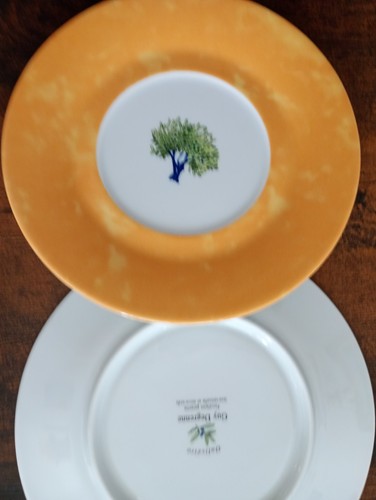 Assiettes guy degrenne - 2,