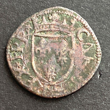 #11377 - Charles VIII Cavallo