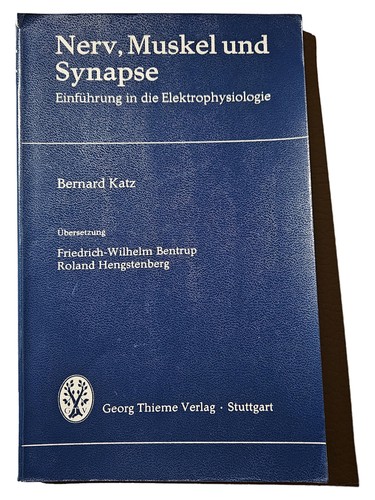 Nerf muscle synapse - nerf,