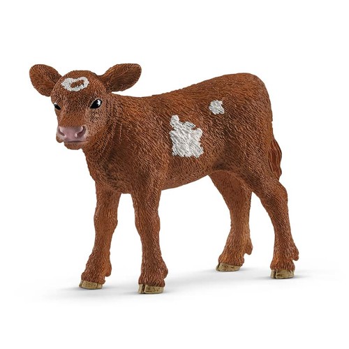 Texas longhorn calf - longhorn,