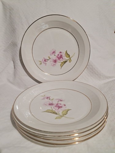 Lot assiettes semi plate - lot, 6