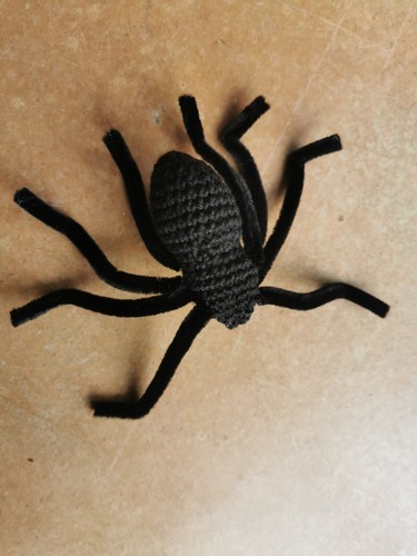 Araignée mygale