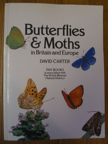 Butterflies and moths - butterflies, in