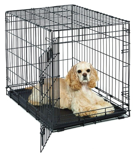 1630 cage life stages - life,