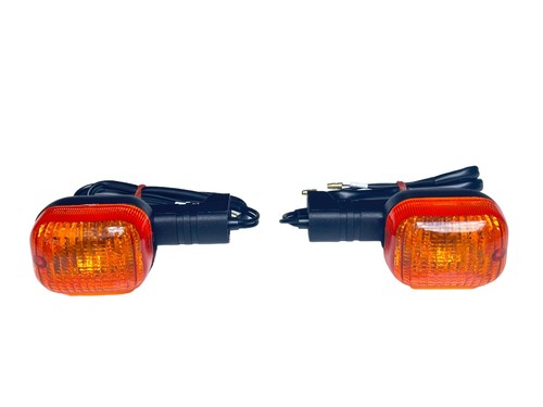 Paire clignotants - paire, 2