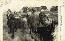 Old postcard AK Salon of 1906 ALCALA GALIANO Hay Transport Holland (701864)