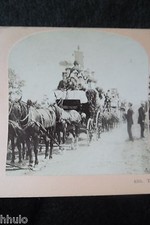 STA432 Carnival Char carnaval