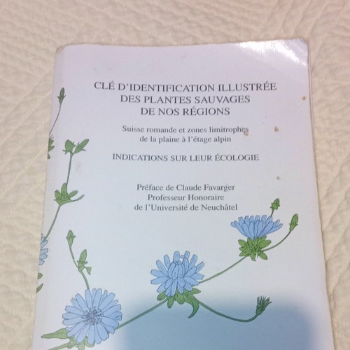 Clé identification - clé, d'identification