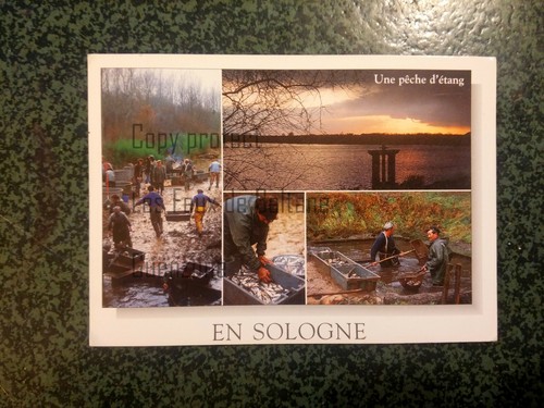 Sologne peche etang - sologne,