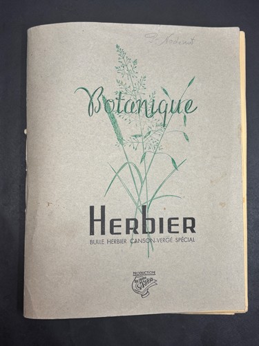 Herbier botanique 15 - herbier,