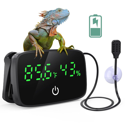 Paizoo reptile thermometer - reptile,