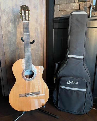 Guitare électro acoustique - guitare, électro-acoustique