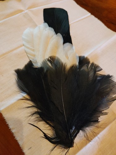 Application ancienne plume - ancienne,