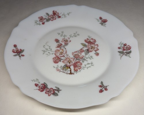 Lot29 grandes assiettes - 5,