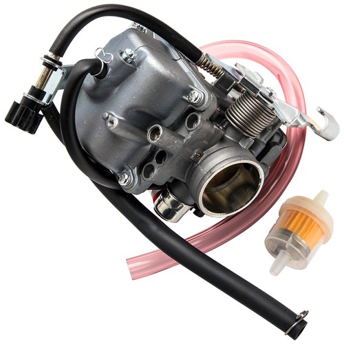 Carburetor fuel filter - fuel, kit