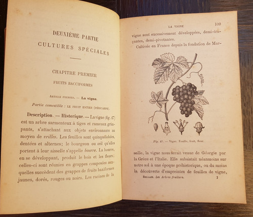Livre ancien les arbres - livre,