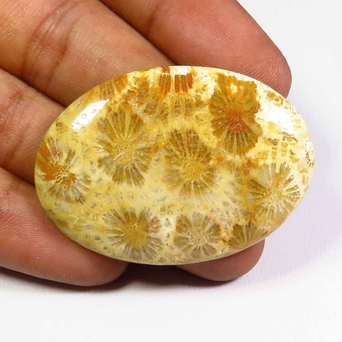 Cabochons ovales corail - en,