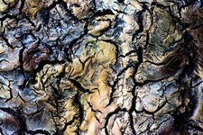 Powertex Easy 3D flex 250g