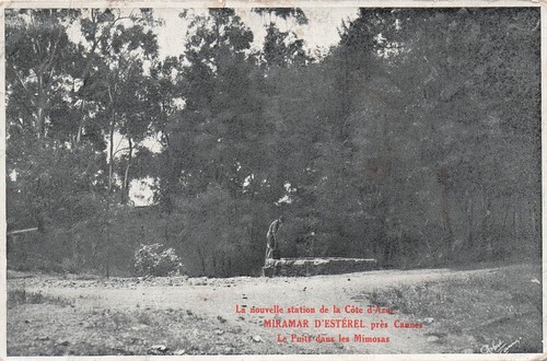 Miramar esterel - miramar, d