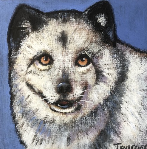 Tableau renard polaire - tableau,