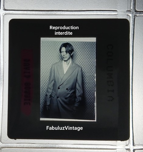 Diapositive presse david - presse, bowie