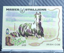 Irish Cob Horse 2019 Topps