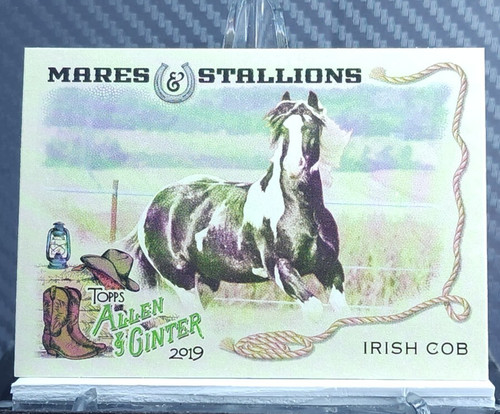 Irish cob horse 2019 - horse, topps