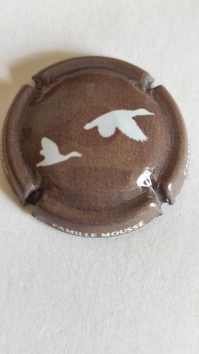 Capsule champagne mousse - champagne,
