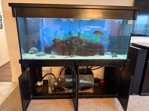 240 gallon aquarium used - gallon, but