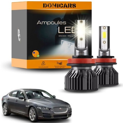 Pack ampoules led - led, xe