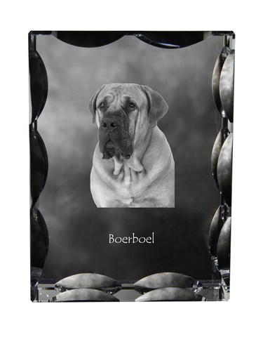 Boerboel cadre cristal avec - en,