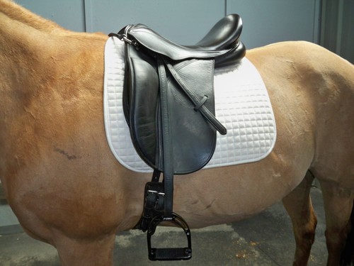 County dressage saddle model - dressage,