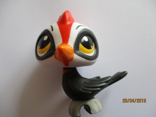 Petshop oiseau pivert 3571 - pivert, n°3571