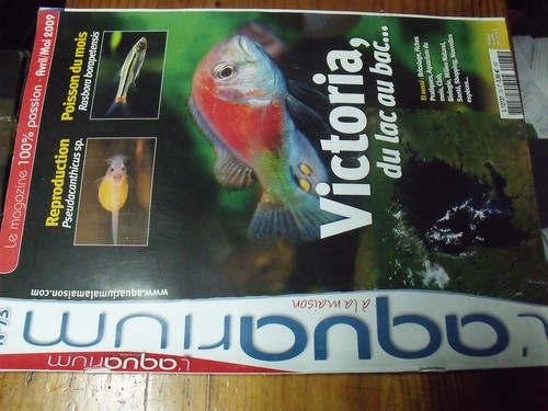 Revue aquarium à - à, la
