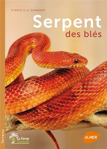 Serpent des blés petra - des, blés,