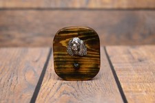 King Charles Spaniel 2 -