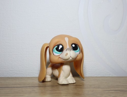 Littlest petshop basset - basset, hound