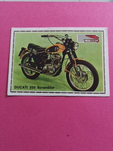 Ducati 250 scrambler - 250, panini
