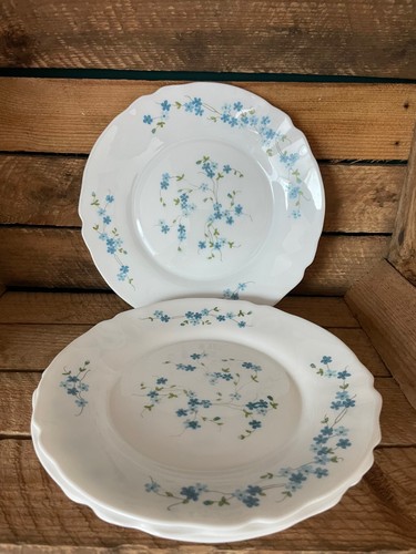 Assiettes plates arcopal - 3,