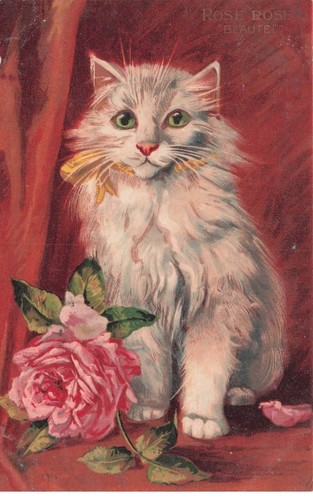 Chat illustrateur boulanger - chat,
