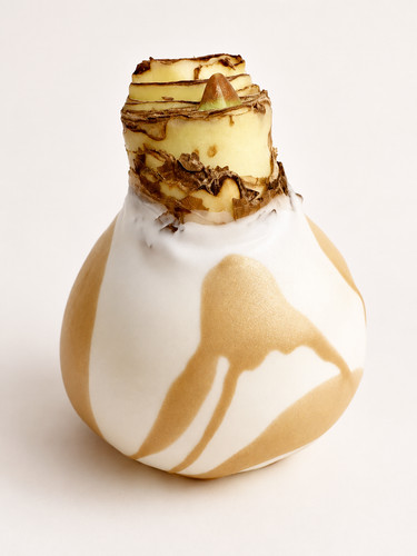 White wax with gold - wax,