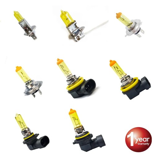 Ampoule lampe h7 h8 - h1,