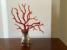 Très belle Branche de Corail