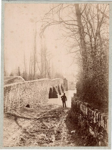 Boussy-Saint-Antoine.(91)Esson