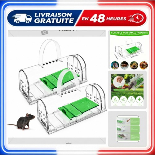 Piège souris vivant - souris,