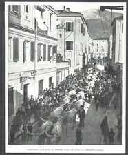 1904 -- TRANSPORT OF A BLOCK OF MARBLE IN THE STREETS OF CARRARA.  3T280