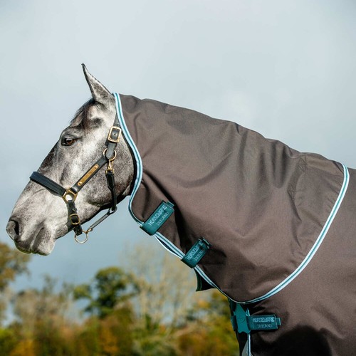 Horseware amigo bravo - amigo,