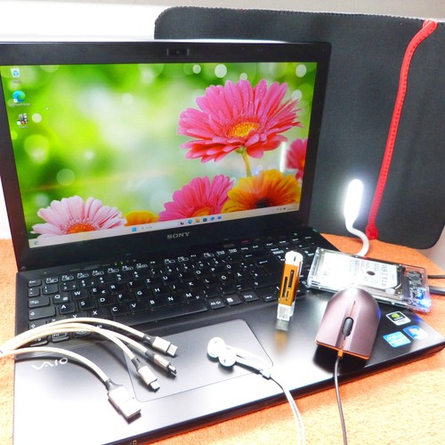 Sony vaio svs15 pouces - sony, pro