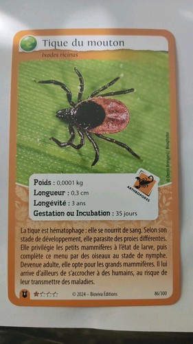 Carte bioviva défis - carte,